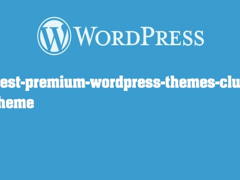 best-premium-wordpress-themes-club theme